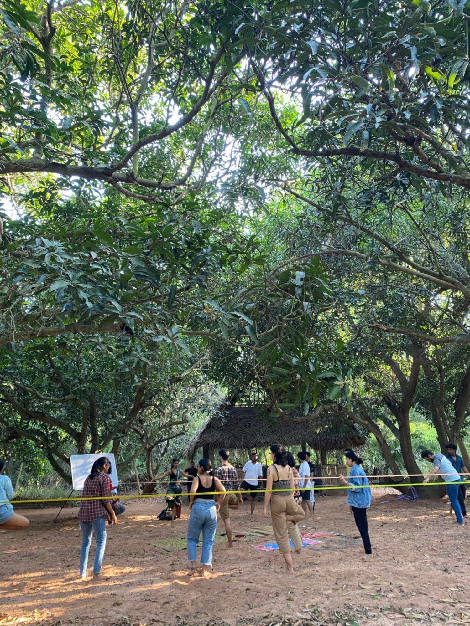 Art Forest Puduccseri Kültér fotó