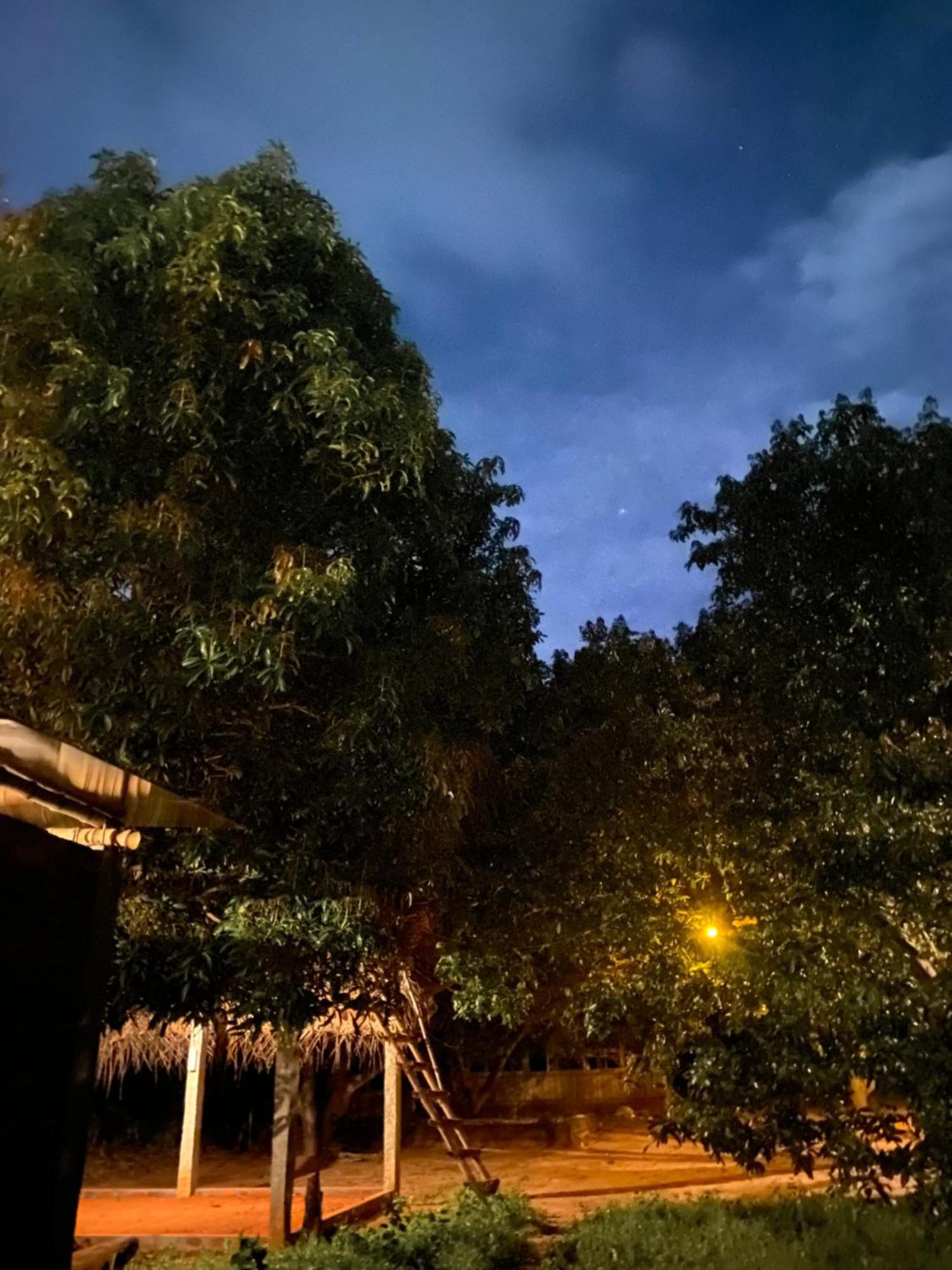 Art Forest Puduccseri Kültér fotó